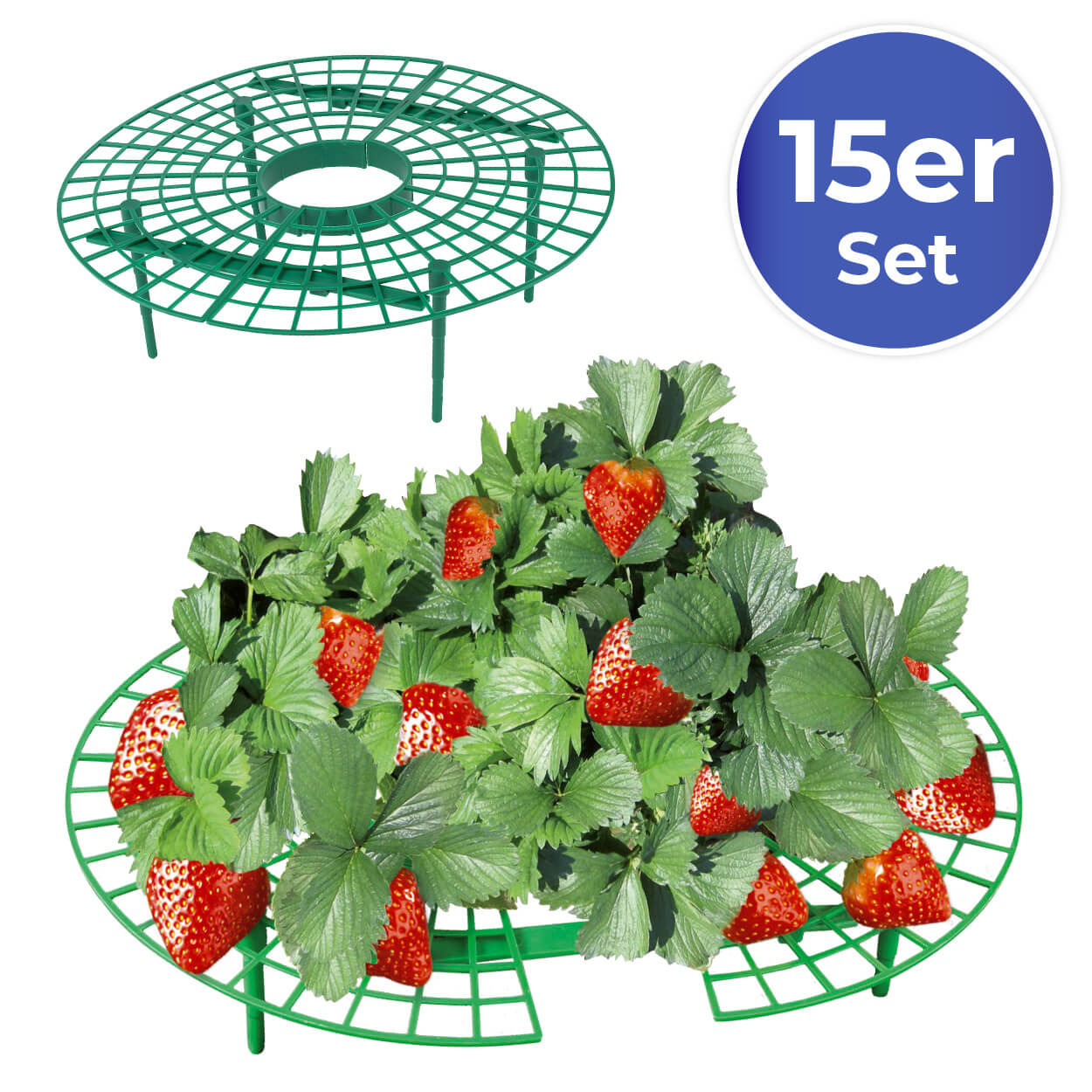 (96) Erdbeer-Reifer 15er