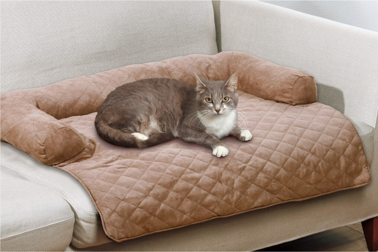 Couch in Couch für Ihr Haustier