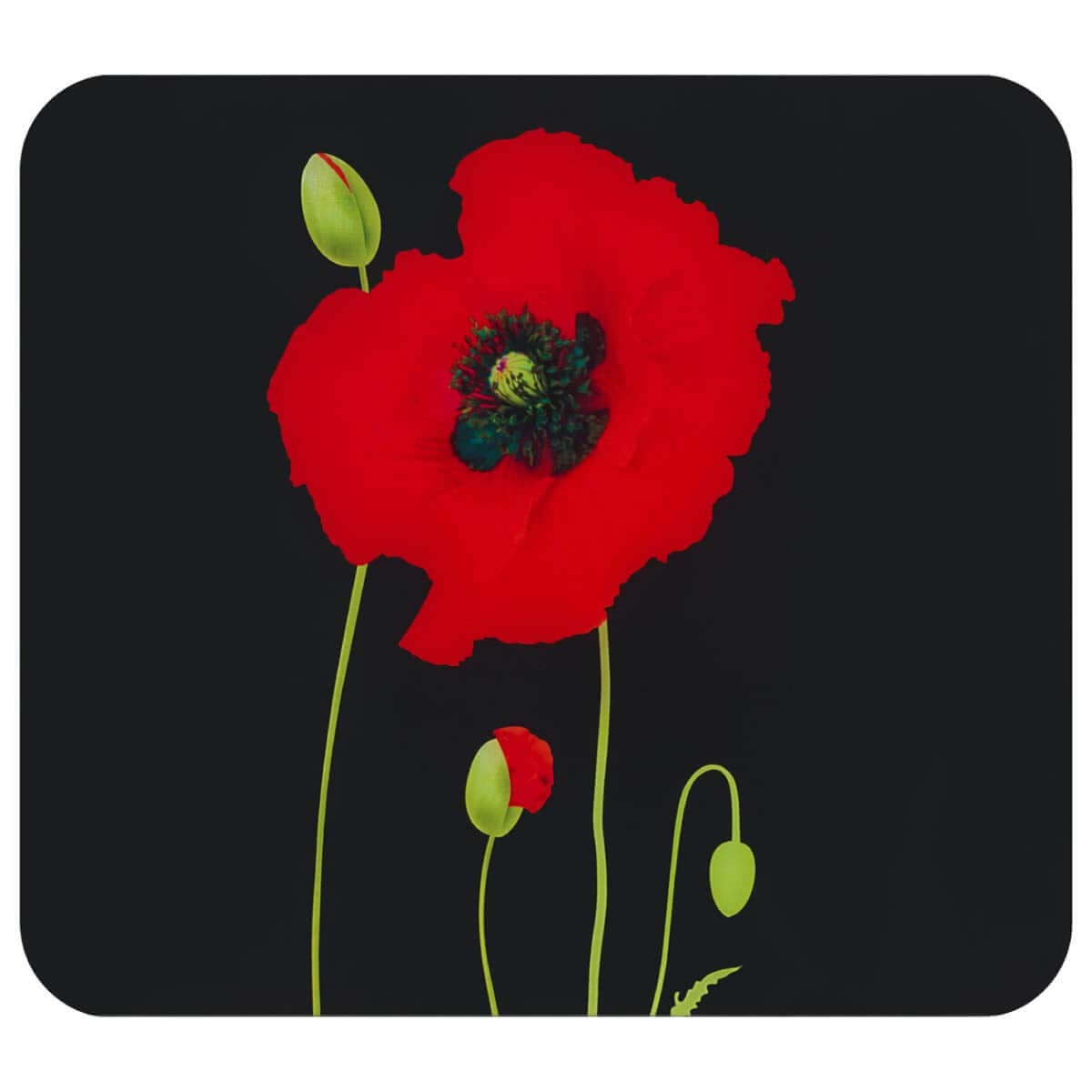 Multi-Platte MOHN Multi-Platte MOHN
