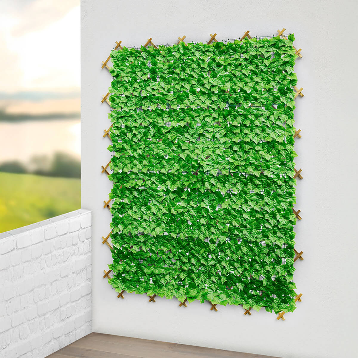Efeu-Sichtschutz 1x1m hellgrün