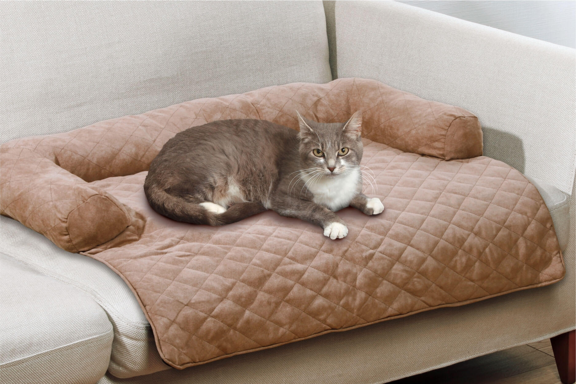Couch in Couch Couch in Couch
