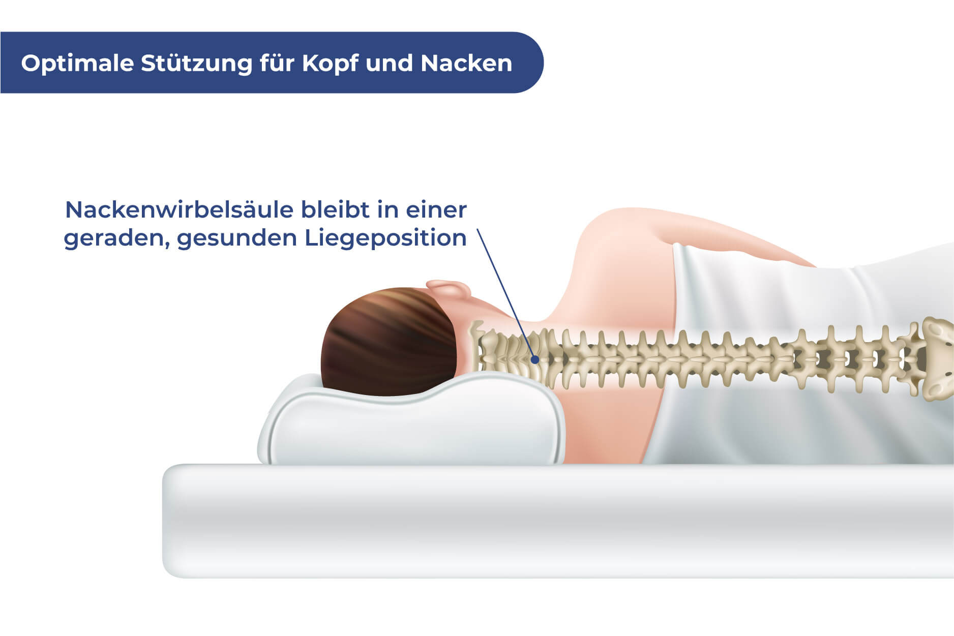 Seitenschläferkissen mit Bezug Seitenschläferkissen mit Bezug