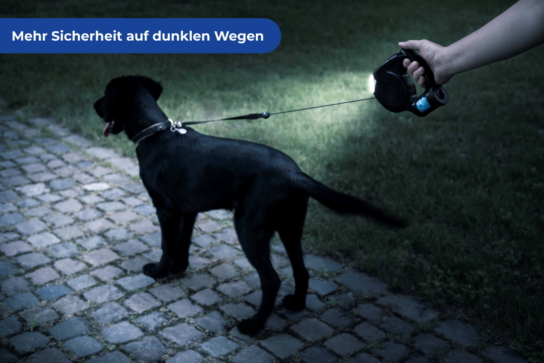 Bester-Freund Set für Ihren Hund mit gemütlicher Decke und praktischer Hundeleine mit LED-Licht