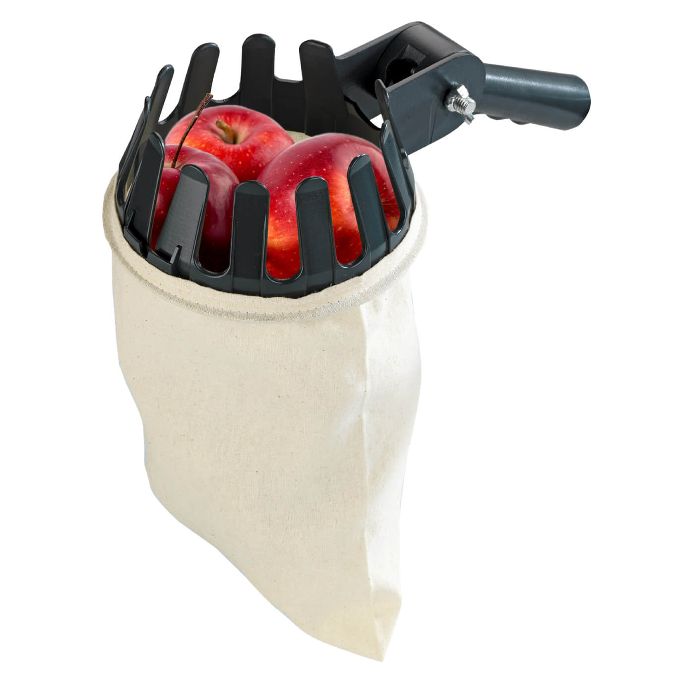 Obstsammler XL Obstsammler XL