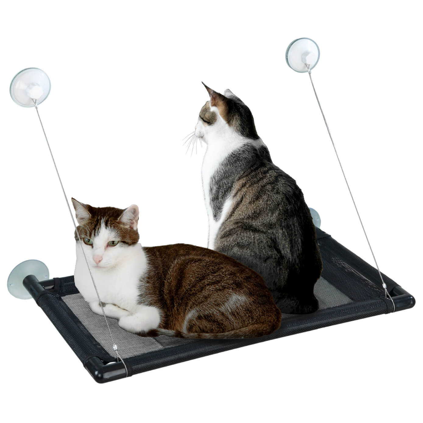 Katzen-Hängematte XXL 67x38 cm