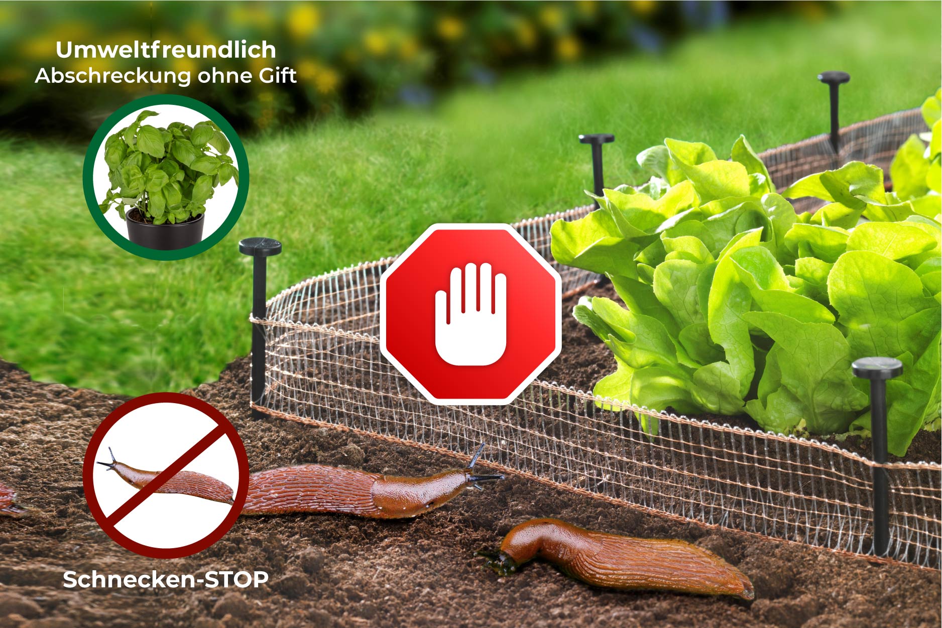 (20) Schnecken-Stop 8m, 2er (20) Schnecken-Stop 8m, 2er