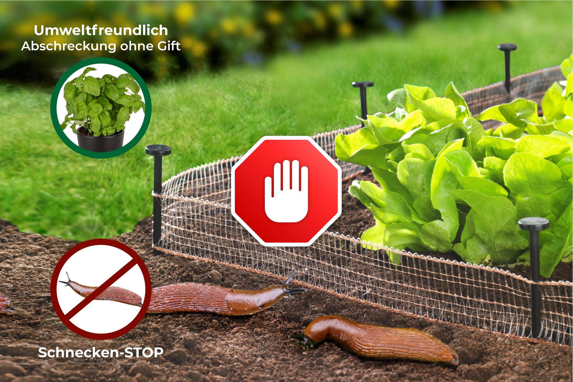 (20) Schnecken-Stop 8m, 2er