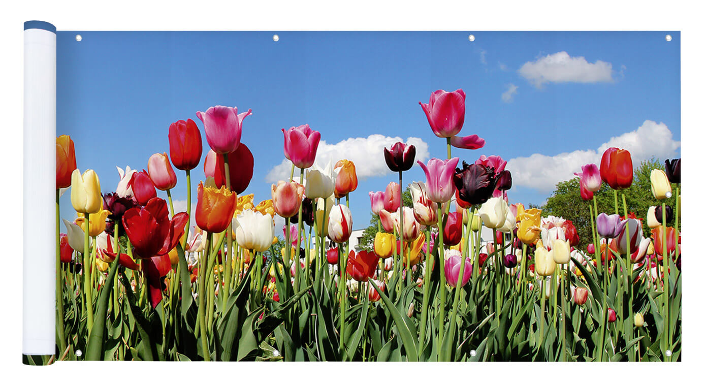 Balkon-Sichtschutz TULPENWIESE