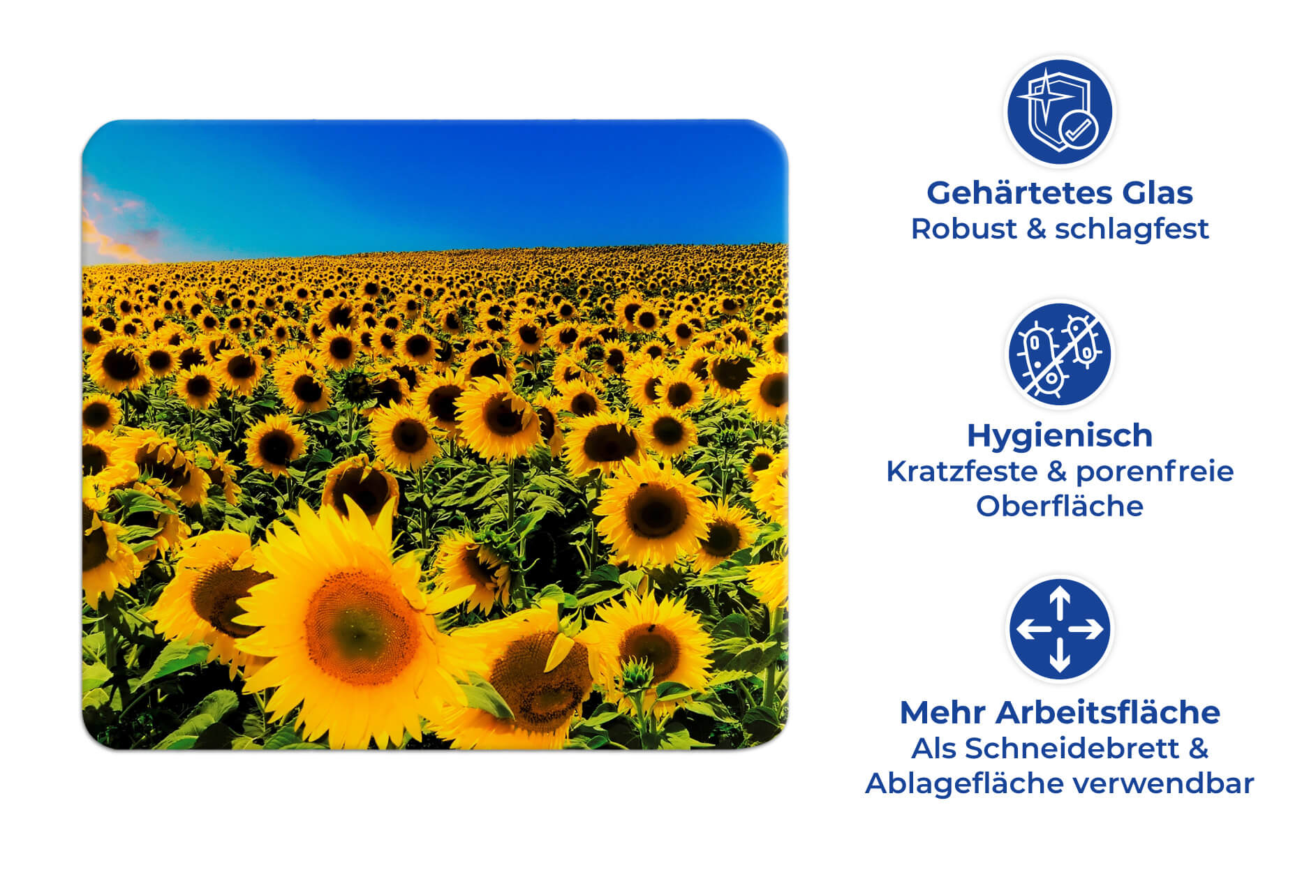 Multi-Platte SONNENBLUMENFELD Multi-Platte SONNENBLUMENFELD
