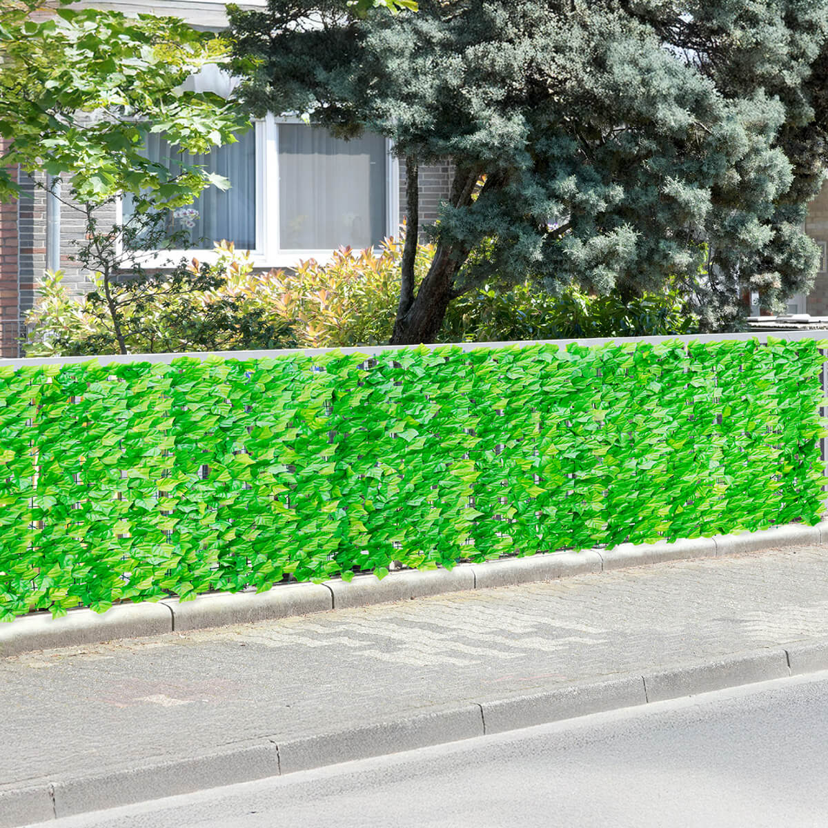 Efeu-Sichtschutz 1x1m hellgrün