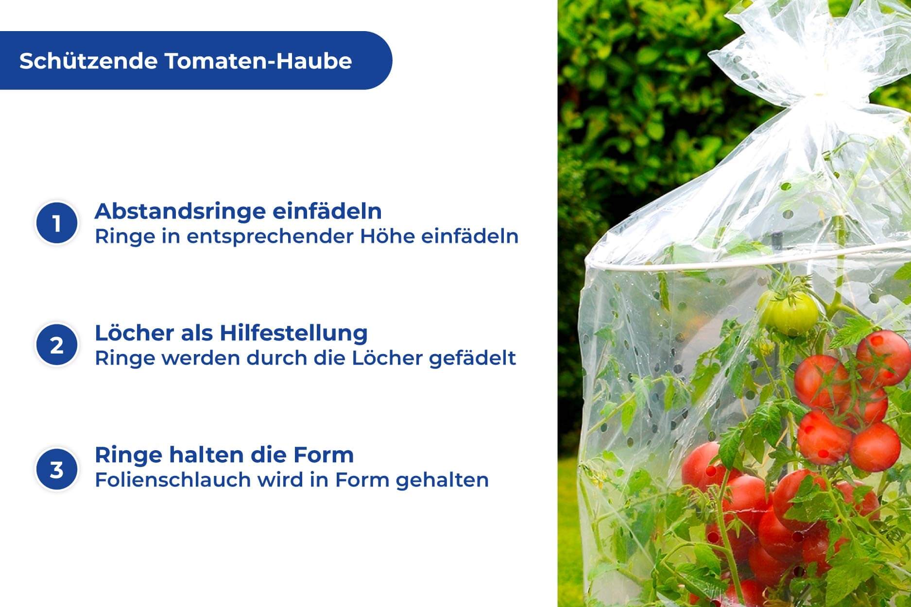 Tomaten-Haube 2er Set