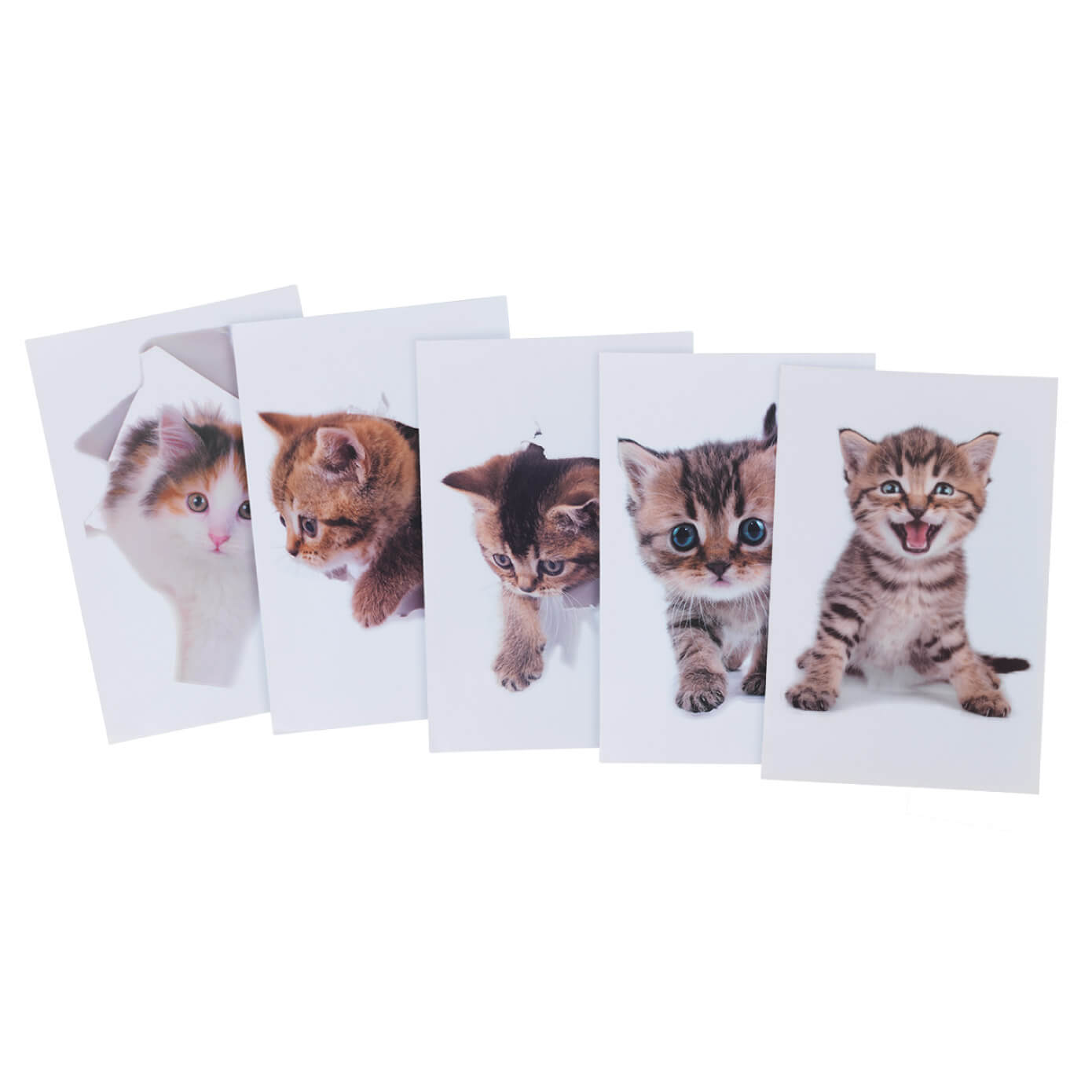 3D Katzensticker 6tlg. 3D Katzensticker 6tlg.