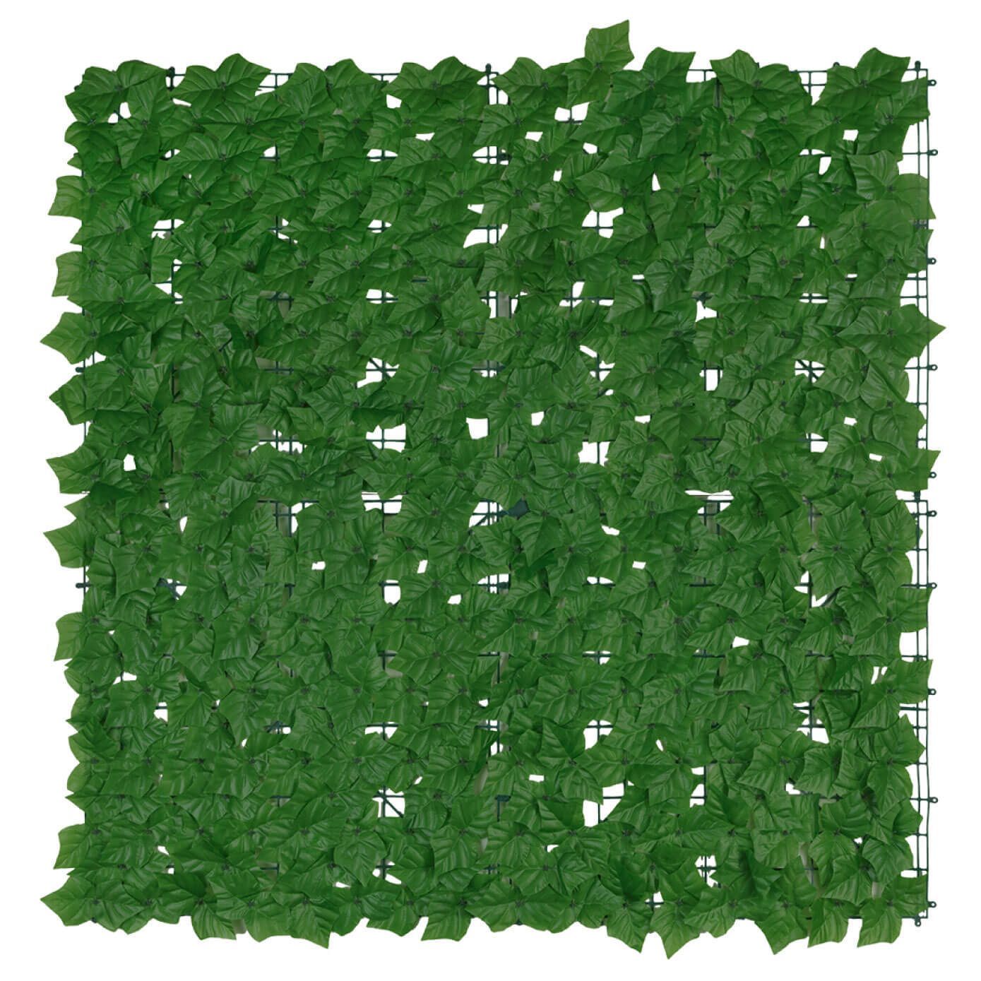 Efeu-Sichtschutz 3x1m grün Efeu-Sichtschutz 3x1m grün