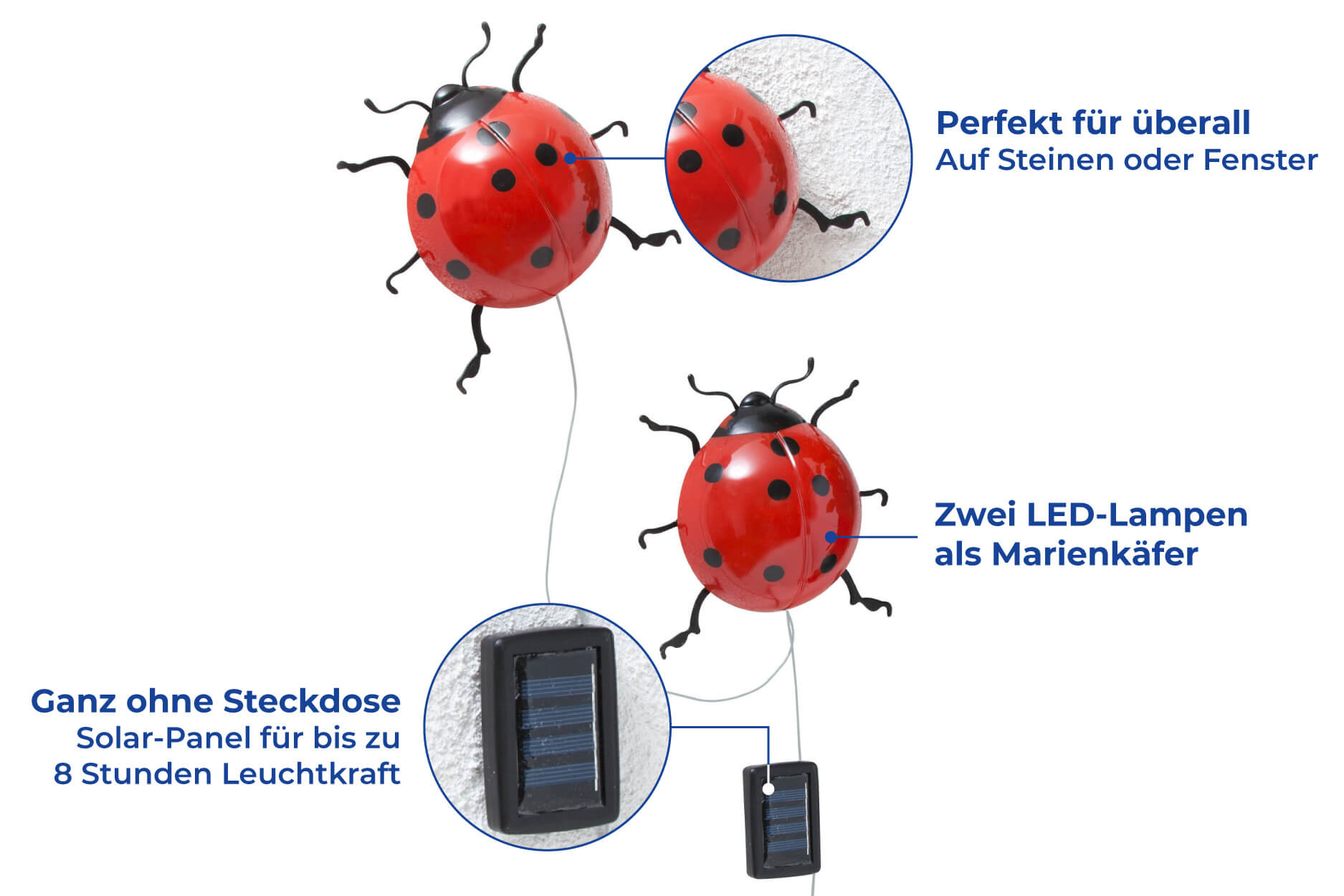 Solar-Marienkäfer mit LED Beleuchtung, 2er Set