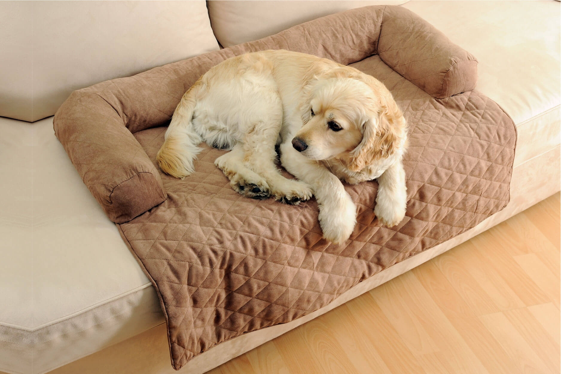 Couch in Couch Couch in Couch