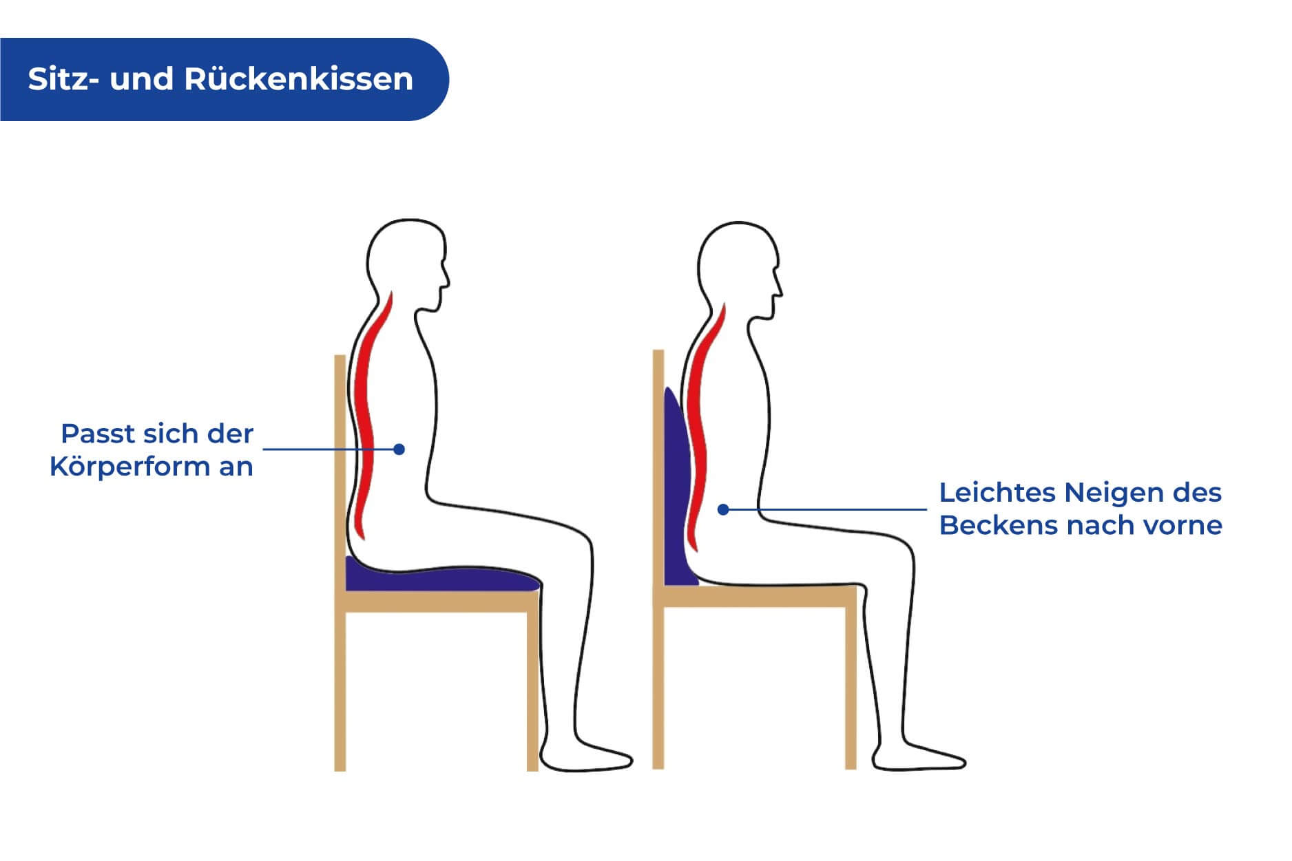 Sitz- und Rückenkissen