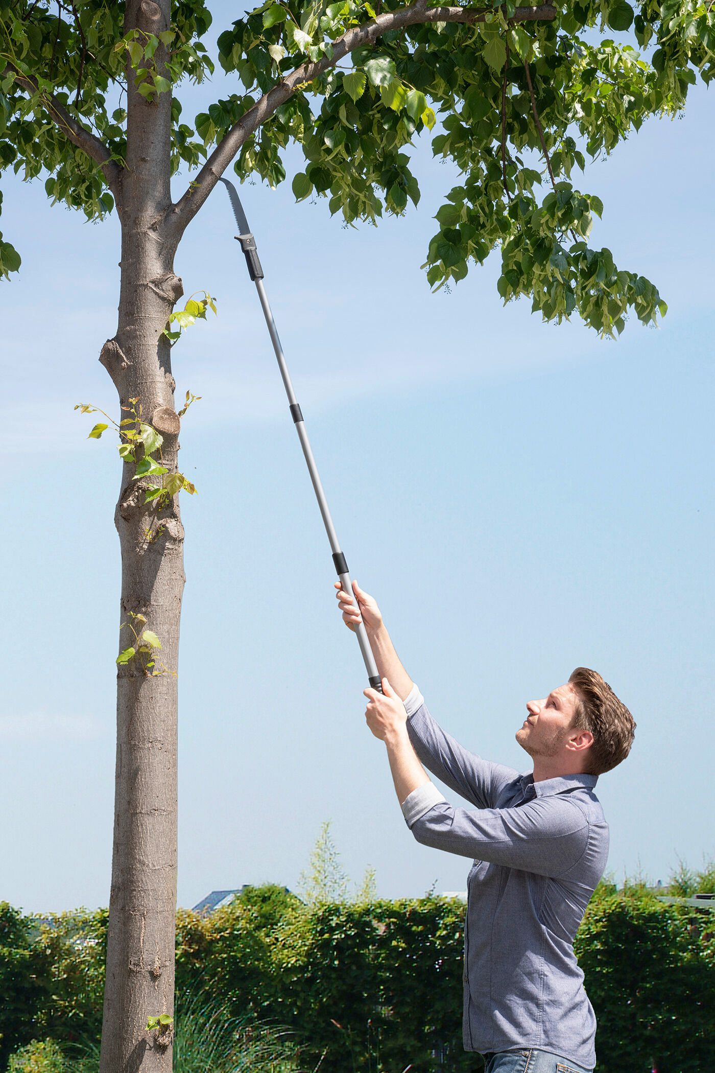 Astsäge mit Teleskopstiel 2in1