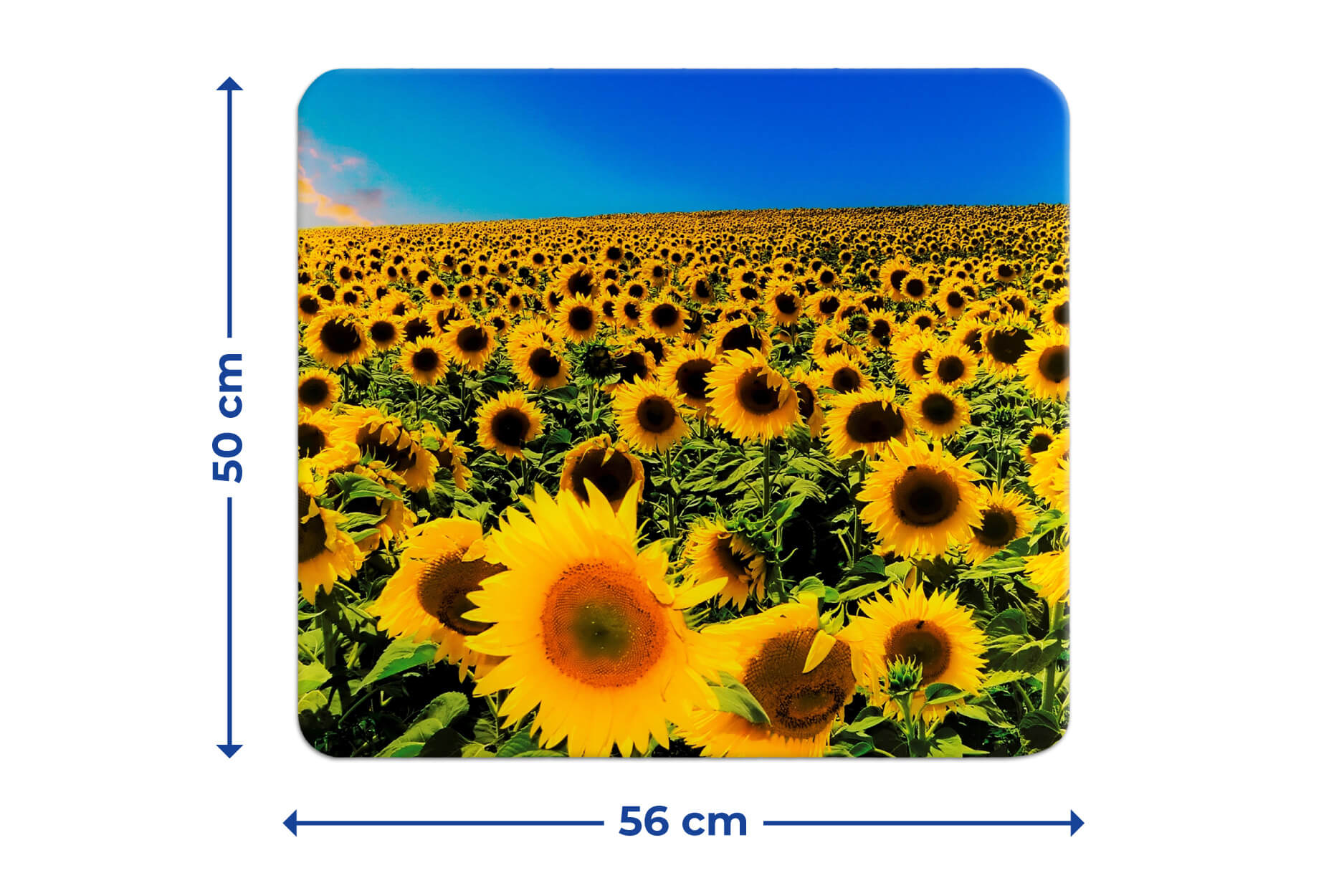 Multi-Platte SONNENBLUMENFELD Multi-Platte SONNENBLUMENFELD