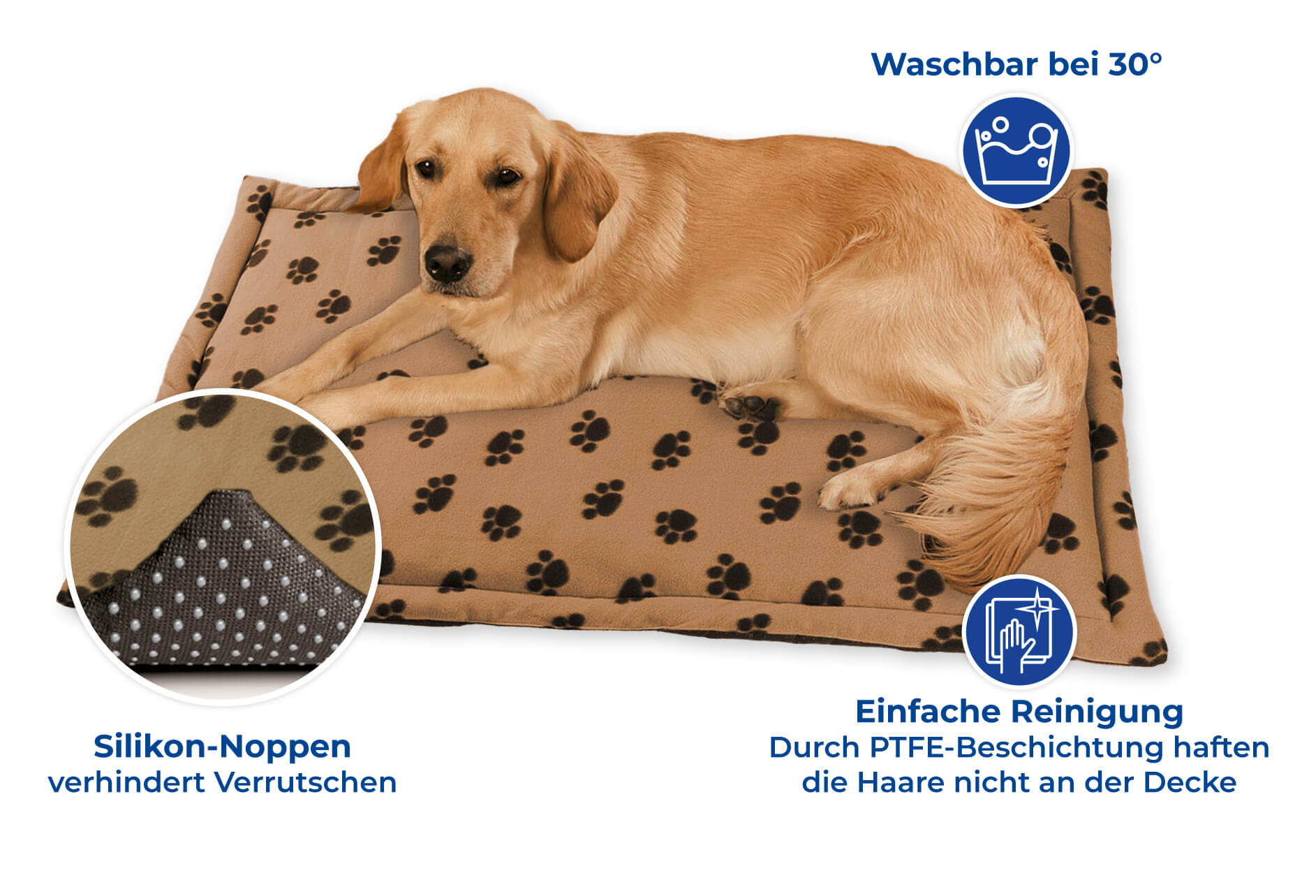 Bester-Freund Set für Ihren Hund mit gemütlicher Decke und praktischer Hundeleine mit LED-Licht