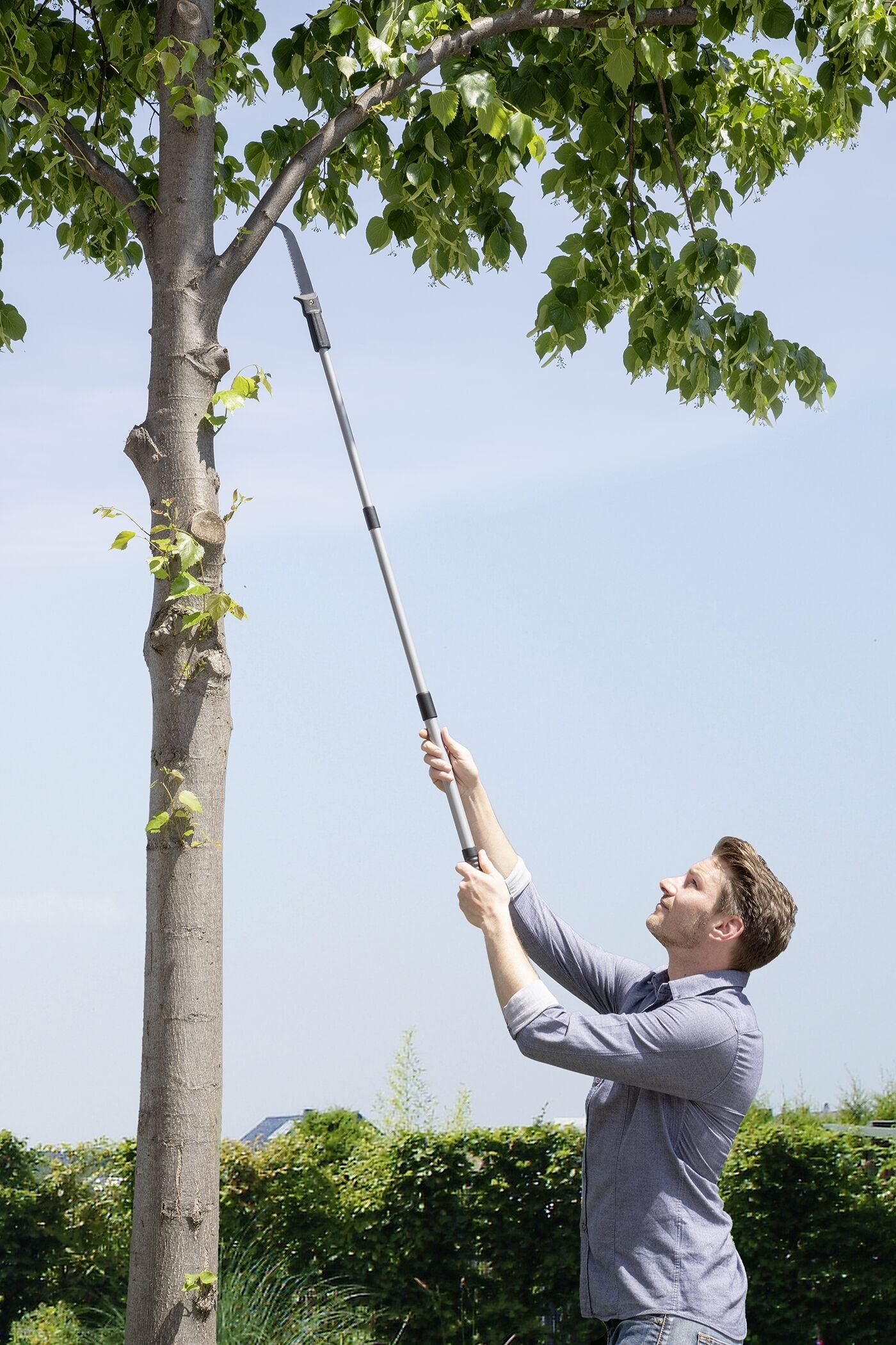 Astsäge mit Teleskopstiel 2in1