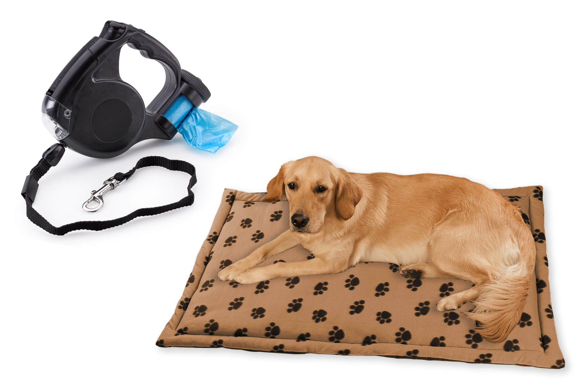 Bester-Freund Set für Ihren Hund mit gemütlicher Decke und praktischer Hundeleine mit LED-Licht