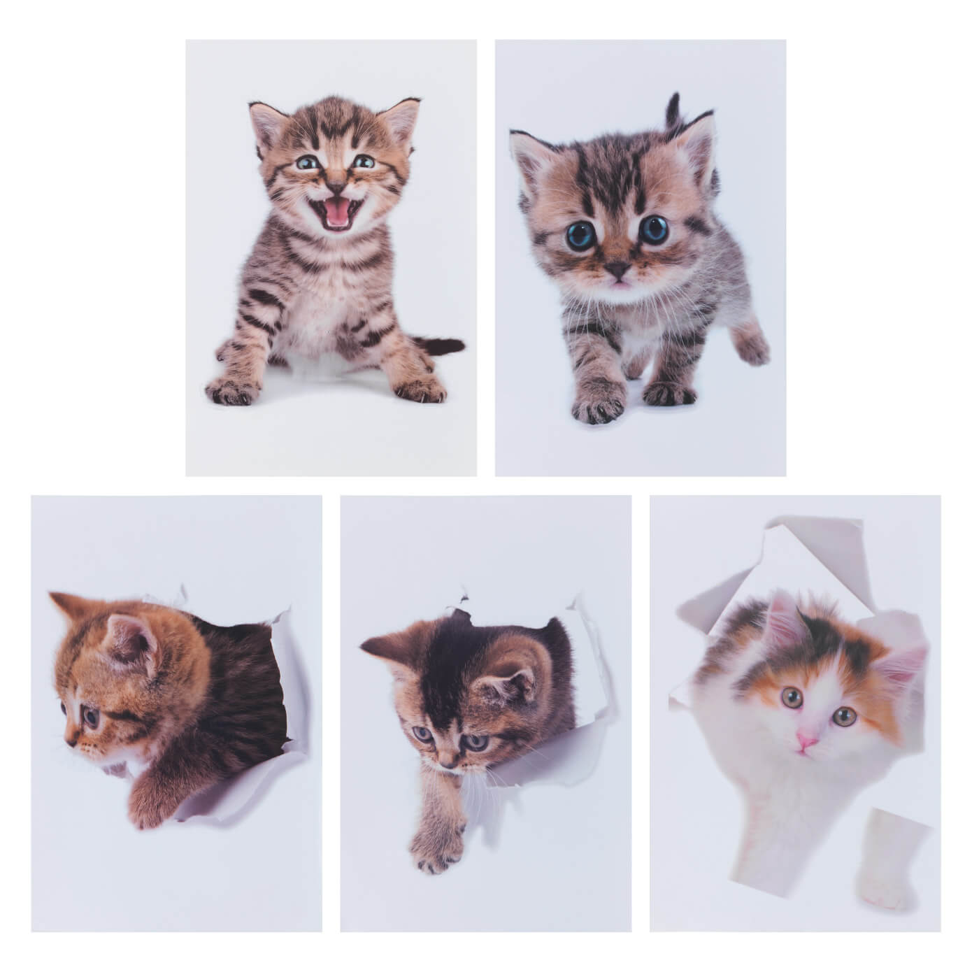 3D Katzensticker 6tlg. 3D Katzensticker 6tlg.