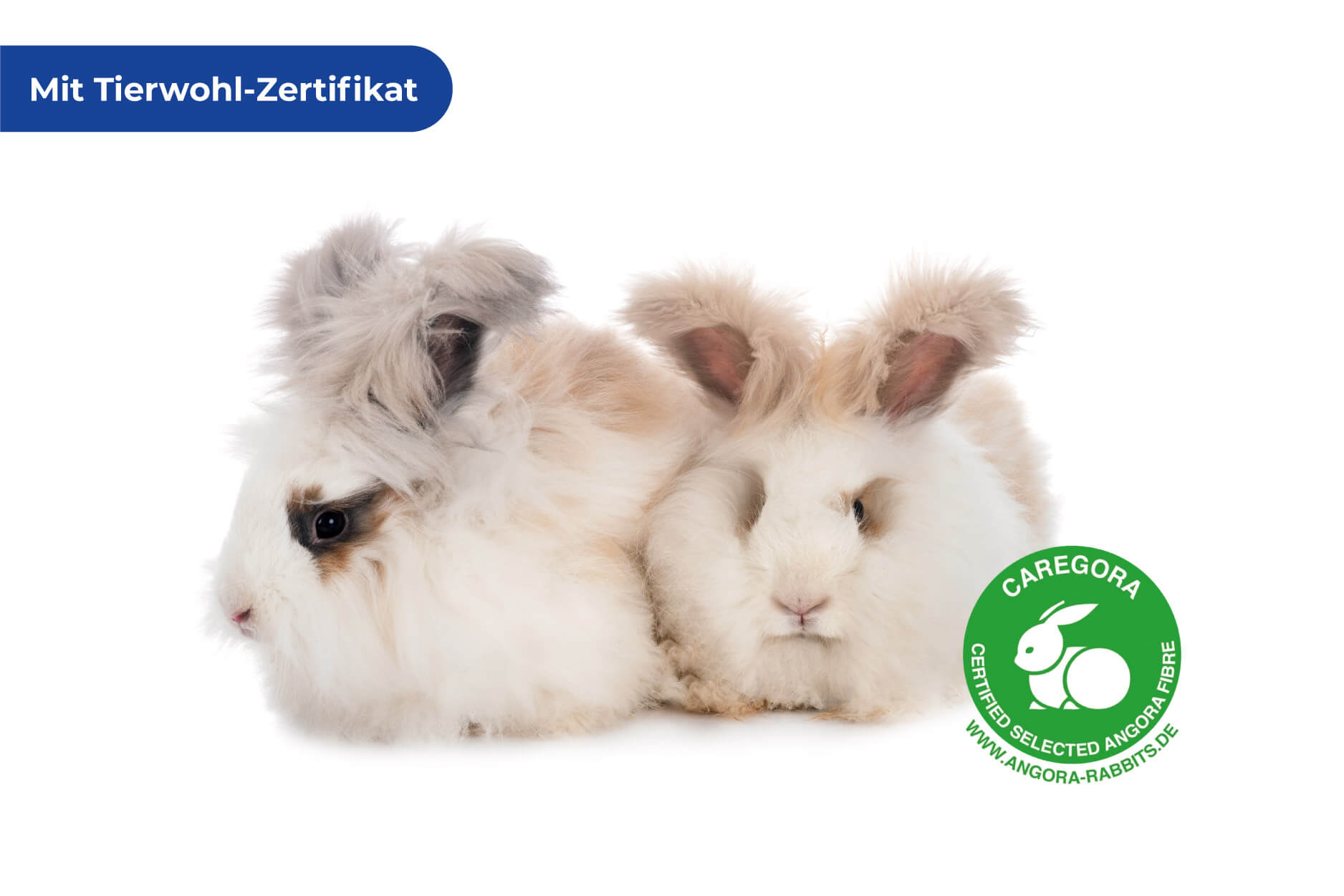  Angora Nierengurt XL
