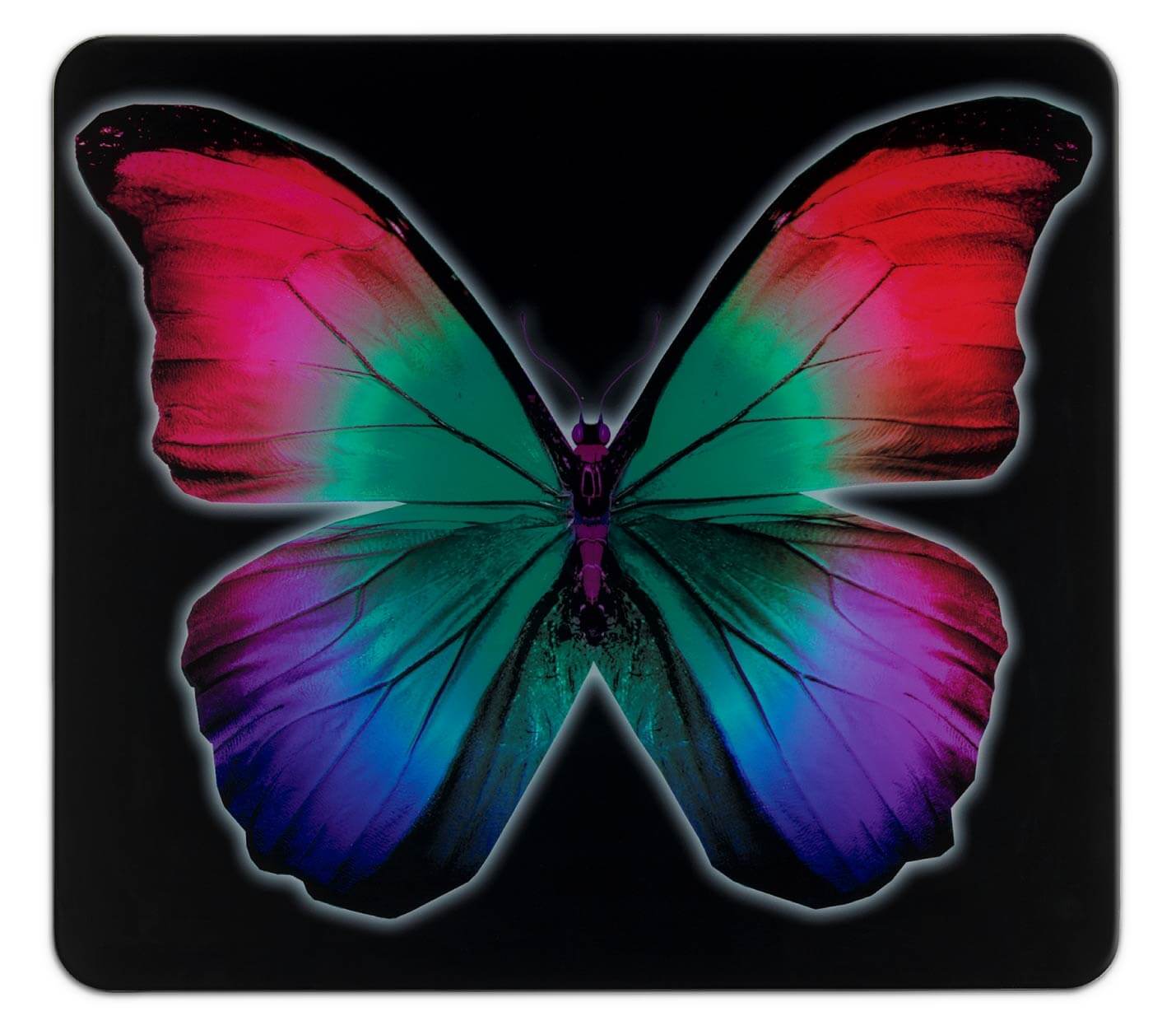 Multi-Platte Butterfly by Night, für Glaskeramik Kochfelder, Schneidbrett Multi-Platte Butterfly by Night, für Glaskeramik Kochfelder, Schneidbrett